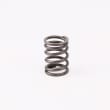  VALVE SPRING  product photo image_1 S