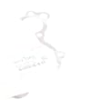  GASKET,WATER PUMP  product photo image_2 S