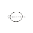  O RING  product photo image_1 S