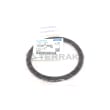 GASKET product photo image_2 S