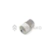  PLUG(PT1/4)  product photo image_1 S