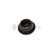  PLUG  product photo image_1 S