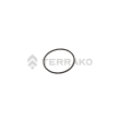  O RING, O-RING  product photo image_1 S