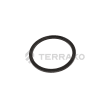 COLLAR product photo image_1 S