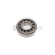  BEARING,CYL.ROLLER  product photo image_1 S