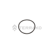  O RING  product photo image_1 S
