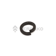  PLATE  product photo image_1 S