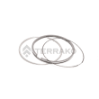  RING,PISTON,ASSY(025)  product photo image_1 S