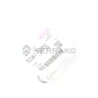  O RING  product photo image_2 S