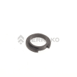  CUSHION  product photo image_1 S