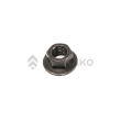  NUT  product photo image_1 S