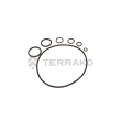  SEALS ASSY, SEALS  ASSY  product photo image_1 S