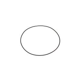 O RING product photo