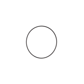 O RING product photo