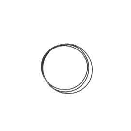  O RING  product photo