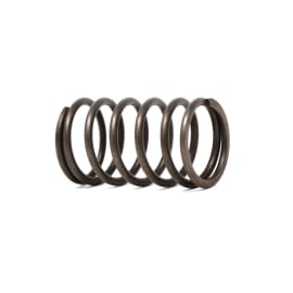 SPRING, VALVE product photo