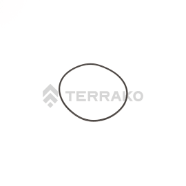  O RING  product photo