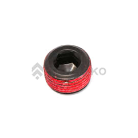  PLUG  product photo
