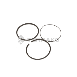  RING,PISTON,ASSY  product photo
