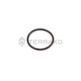  O RING, O-RING  product photo