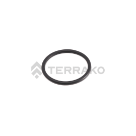  O RING  product photo