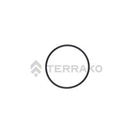  O RING  product photo