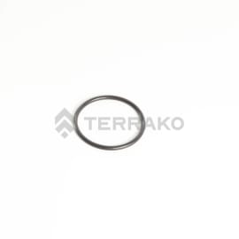 O RING  product photo