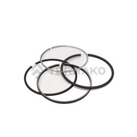  ASSY RING,PISTON 025  product photo