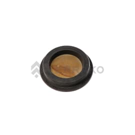 PLUG  product photo