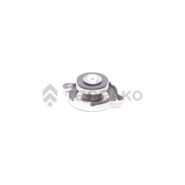  ASSY.CAP,RADIATOR  product photo