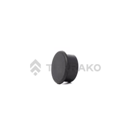  PLUG  product photo