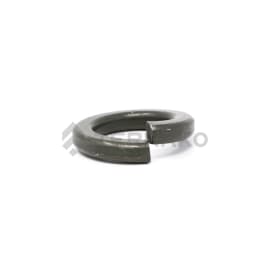  WASHER SPRING(M)  product photo