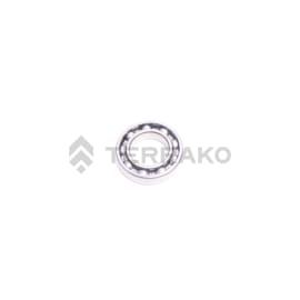  BRNG,BALL(6007RSH2)  product photo