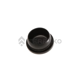  PLUG  product photo