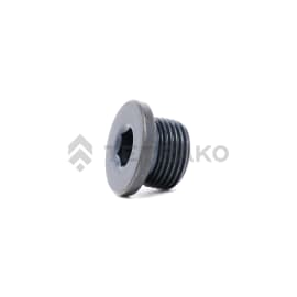  PLUG  product photo