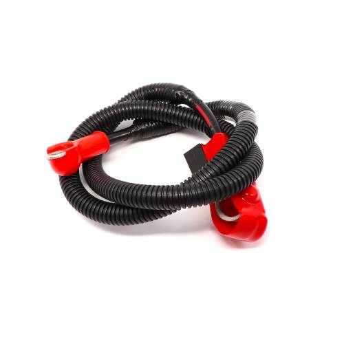  CABLE,BATTERY +  photo du produit image_1 L