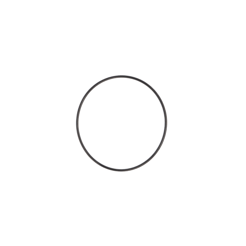  O RING  product photo image_1 L