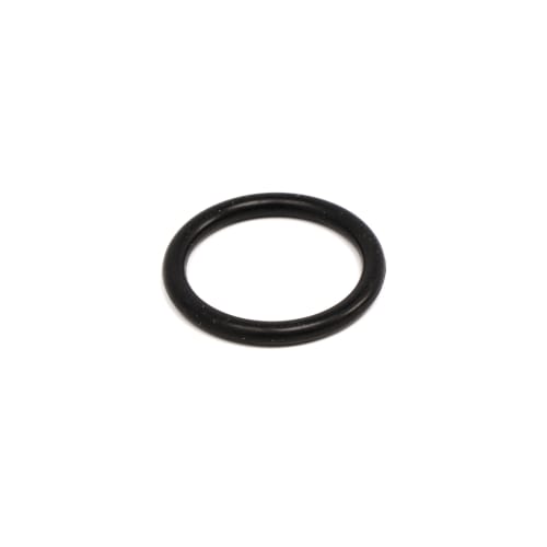  O RING(SFI93-046)  product photo image_1 L