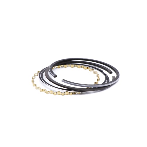  ASSY PISTON RING  product photo image_1 L