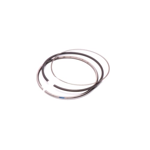  ASSY PISTON RING  product photo image_1 L
