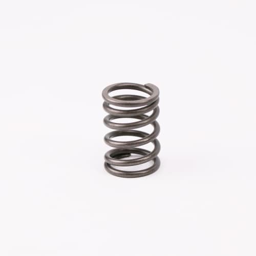  VALVE SPRING  product photo image_1 L