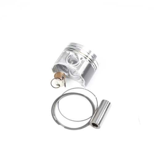  PISTON  photo du produit image_1 L