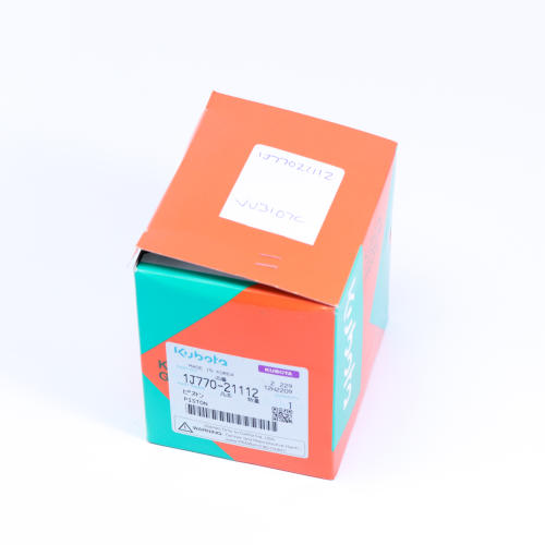  PISTON  photo du produit image_1 L