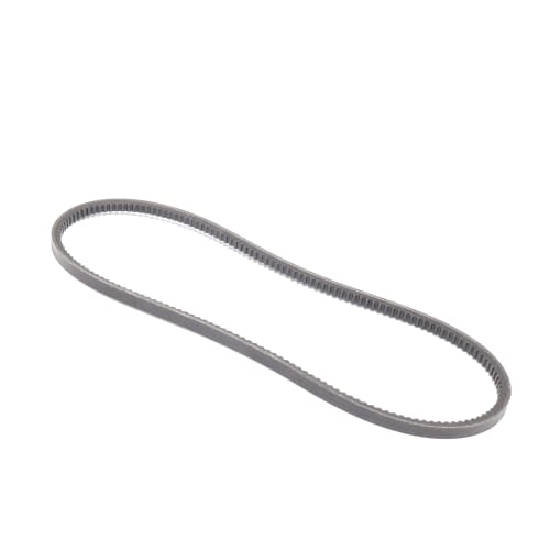  BELT  product photo image_1 L