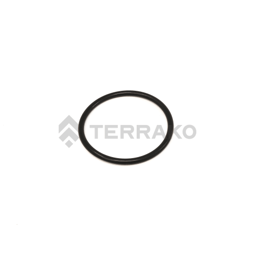  O RING  product photo image_1 L