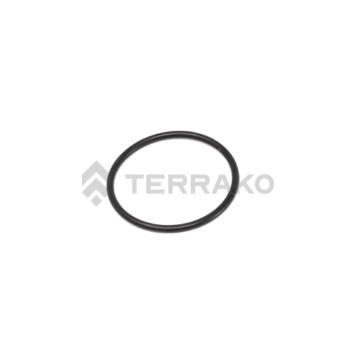  O RING  product photo image_1 L