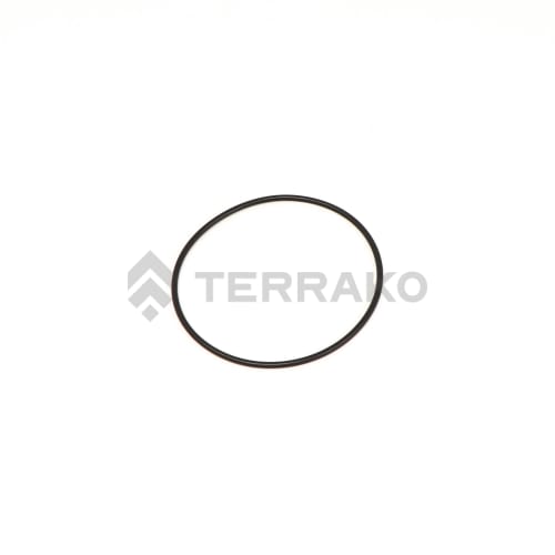  O RING  product photo image_1 L
