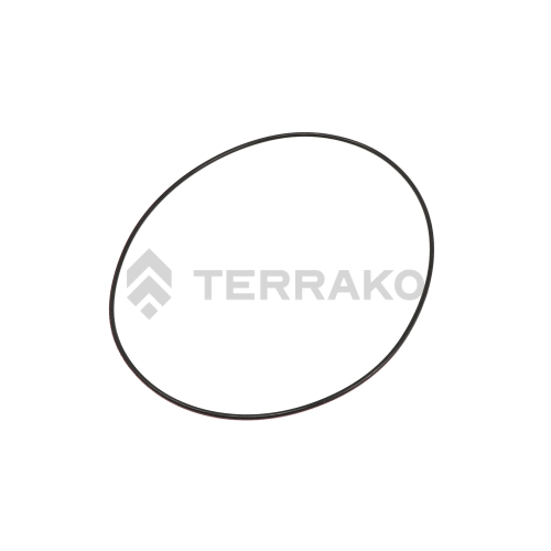  O RING  product photo image_1 L