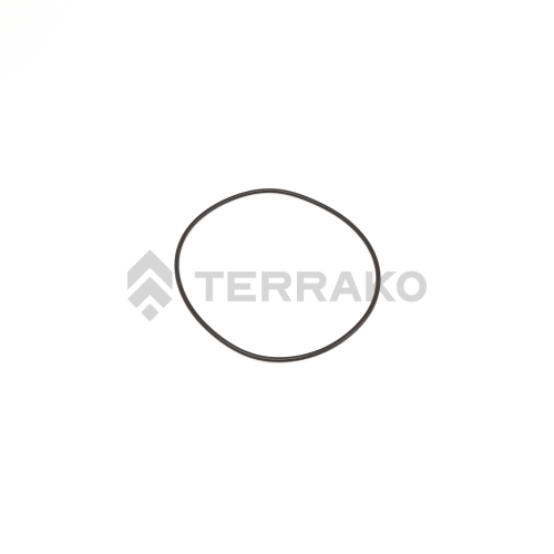  O RING  product photo image_1 L
