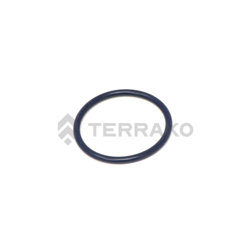  O RING  product photo image_1 L